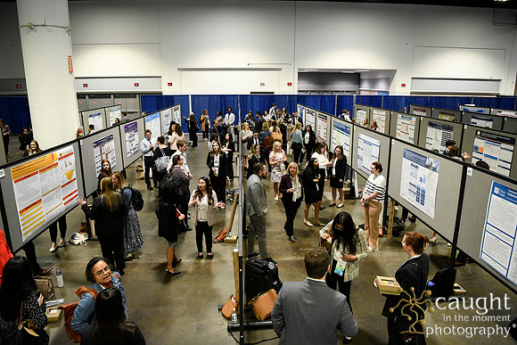 404 HOPA 2024 Conference in Tampa - Posters