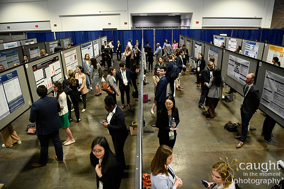 405 HOPA 2024 Conference in Tampa - Posters
