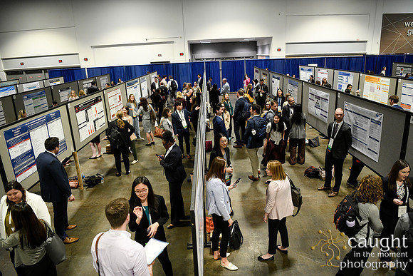 407 HOPA 2024 Conference in Tampa - Posters