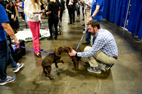 553 HOPA 2024 Conference in Tampa - Puppies Meet & Greet