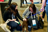 557 HOPA 2024 Conference in Tampa - Puppies Meet & Greet
