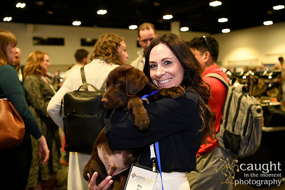 560 HOPA 2024 Conference in Tampa - Puppies Meet & Greet