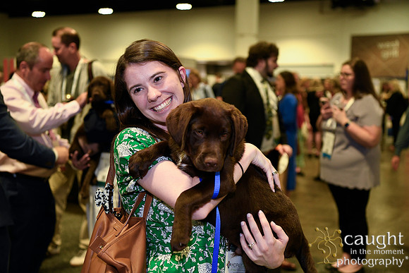 559 HOPA 2024 Conference in Tampa - Puppies Meet & Greet
