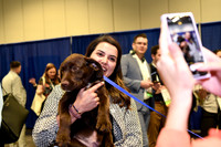 562 HOPA 2024 Conference in Tampa - Puppies Meet & Greet