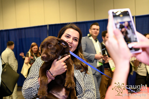 562 HOPA 2024 Conference in Tampa - Puppies Meet & Greet
