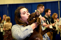 563 HOPA 2024 Conference in Tampa - Puppies Meet & Greet