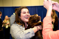 564 HOPA 2024 Conference in Tampa - Puppies Meet & Greet