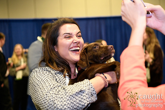 564 HOPA 2024 Conference in Tampa - Puppies Meet & Greet