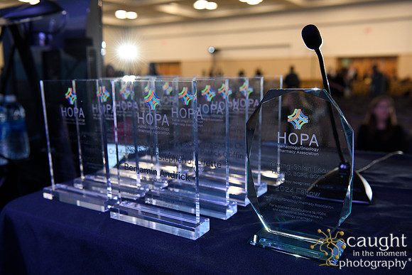 485 HOPA 2024 Conference in Tampa - Business Meeting and Member Awards