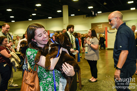 558 HOPA 2024 Conference in Tampa - Puppies Meet & Greet