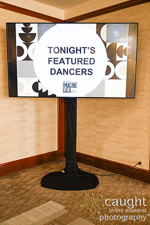 033 Imagine Gala 2024