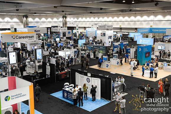310 AAE 2024 in Los Angeles - Exhibit Hall