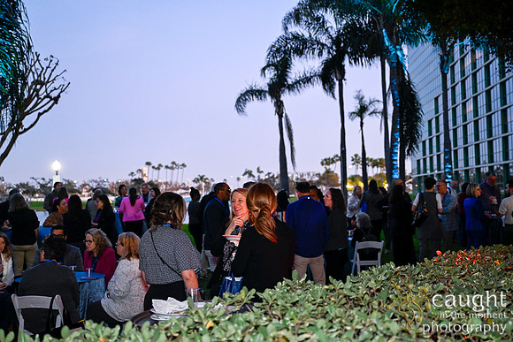 637 AACTE Annual Meeting 2025 Long Beach