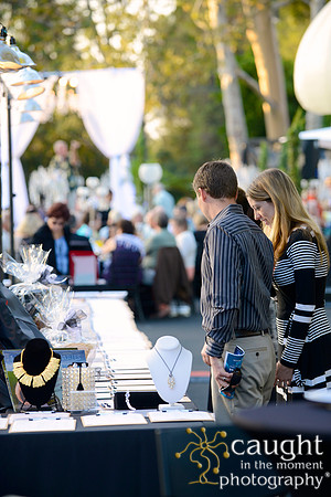 098 MTW Broadway in the Park 2014