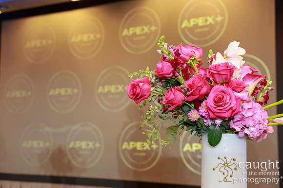224 APEX IFSA GlobalExpo2024