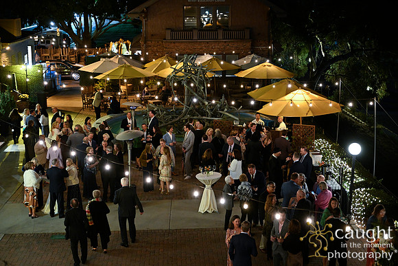 337 Brasche Packman Wedding at Long Beach Museum of Art