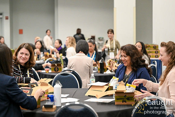 1231 IEEE PES TandD Anaheim 2024