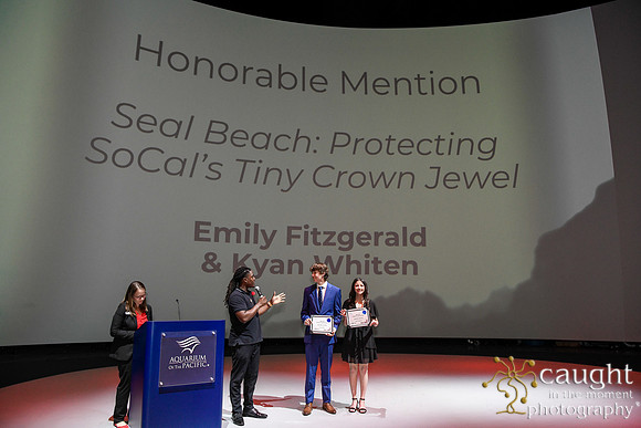 131 High Tide Film Festival 2024