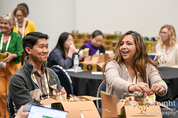 1218 IEEE PES TandD Anaheim 2024