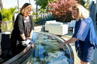 014 Aquarium of the Pacific Blue Whale Gala and After Party 2025