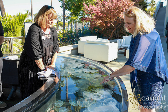 014 Aquarium of the Pacific Blue Whale Gala and After Party 2025