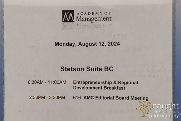 469 AOM 2024 AMC Sessions