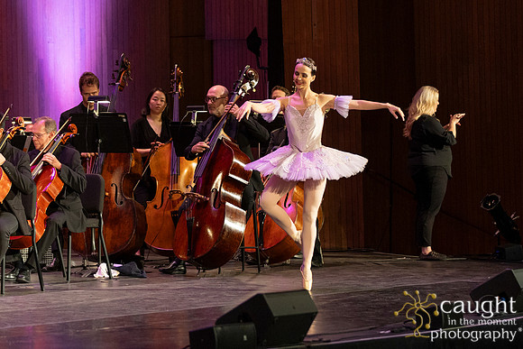 013 RuMBa Foundation Family Concerts- Magical Musical Kingdom!