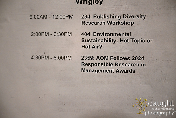729 AOM 2024 AOM Fellows Responsible Research in Management Awards