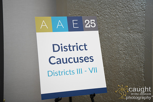 1192 AAE 2025 in Boston - District Caucuses