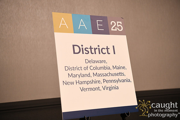 1181 AAE 2025 in Boston - District Caucuses