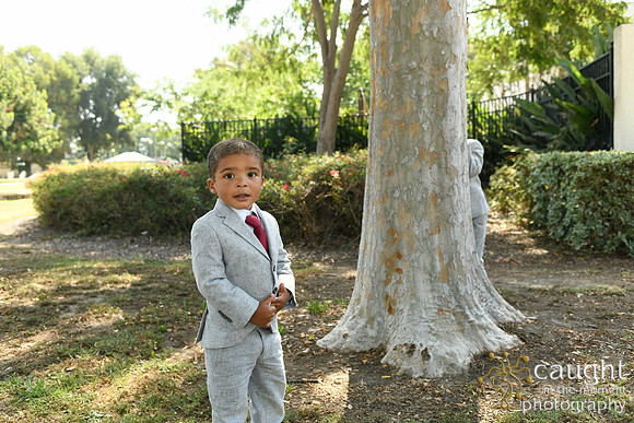 023 Thomas Family Portraits in Long Beach
