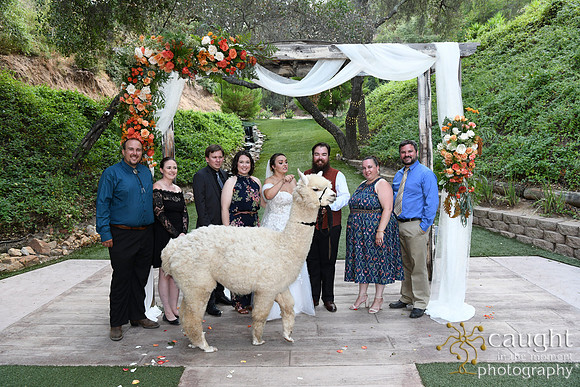 783 Chompff Wedding at Los Willows