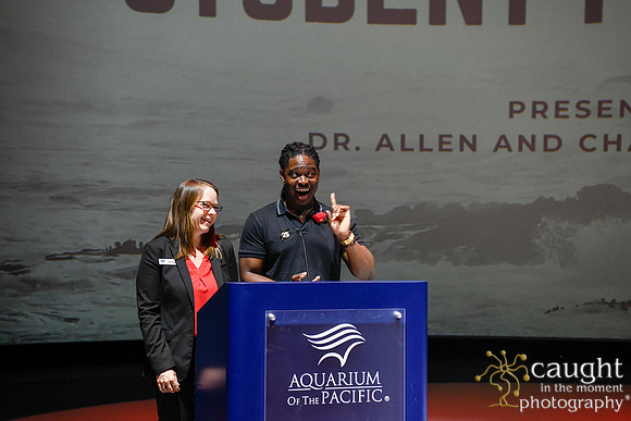 104 High Tide Film Festival 2024