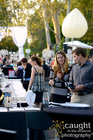 101 MTW Broadway in the Park 2014