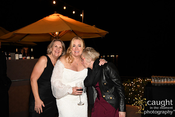 529 Brasche Packman Wedding at Long Beach Museum of Art