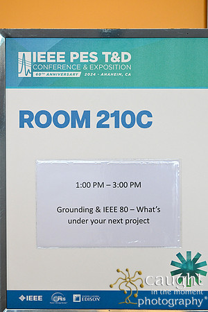 1571 IEEE PES TandD Anaheim 2024