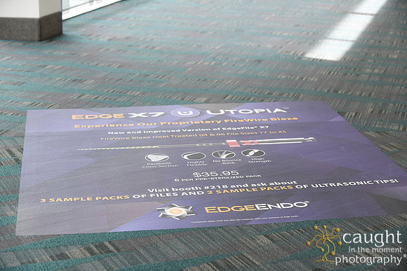 104 AAE 2024 in Los Angeles - Registration & Signage