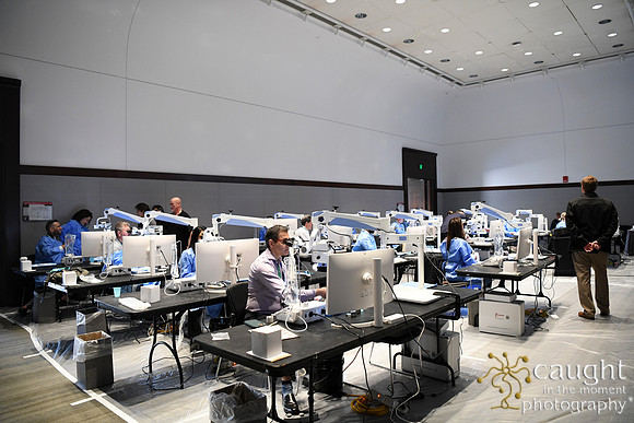 378 AAE 2025 in Boston - Hands-On Courses