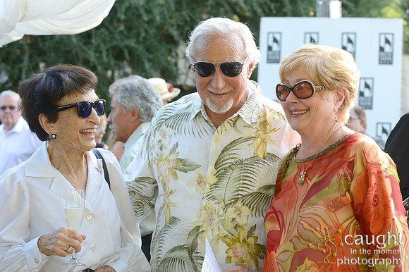 079 MTW Broadway in the Park 2014