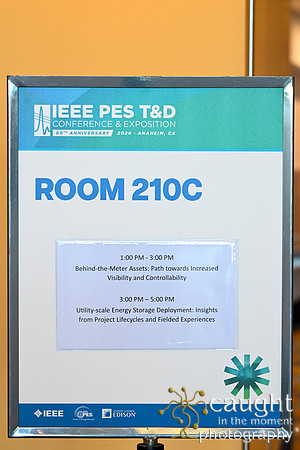 1353 IEEE PES TandD Anaheim 2024