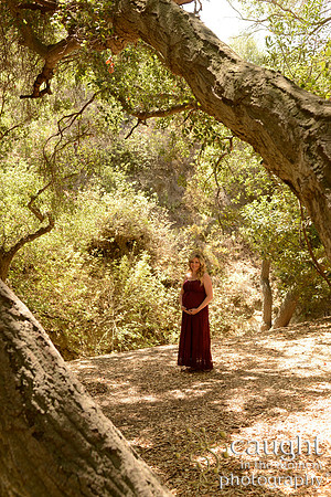 30 Maternity Portraits