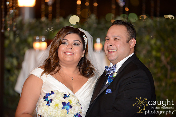 301 Hotel Maya Wedding
