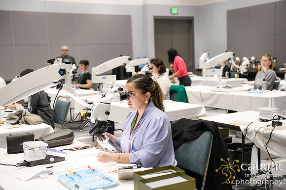 582 AAE 2024 in Los Angeles - Hand-On Sessions