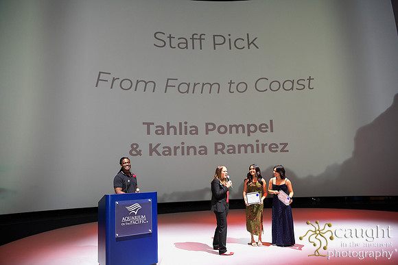 124 High Tide Film Festival 2024