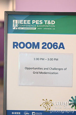 1591 IEEE PES TandD Anaheim 2024