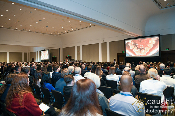 465 AAE 2025 in Boston - Sessions