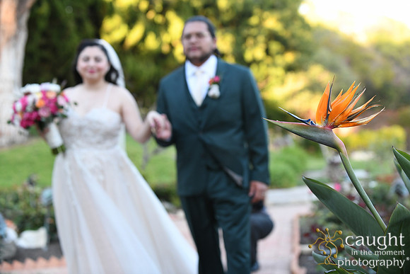 425 Castellon Wedding at Wayfarers Chapel and Long Beach Museum of Art