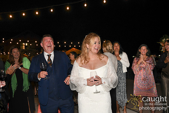 039 Brasche-Packman Wedding at Long Beach Museum of Art - Highlights