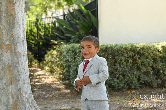 026 Thomas Family Portraits in Long Beach
