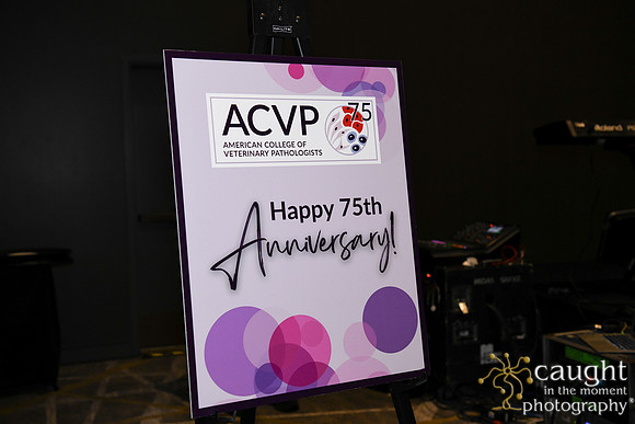682 ACVP 2024 in Seattle